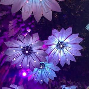 Meet your Posher, Marla